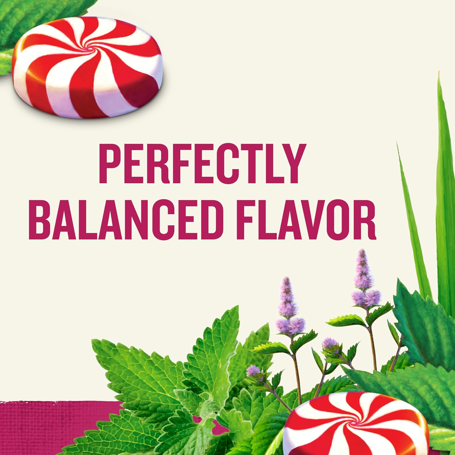 Peppermint Herbal Tea - 20 Sachets