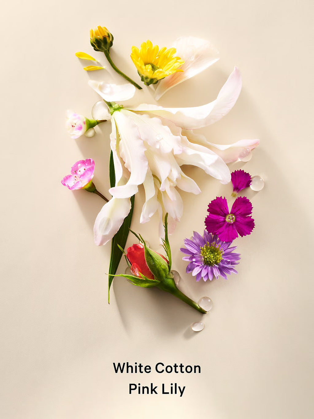 Brume parfumée Sheer Love White Cotton Pink Lily
