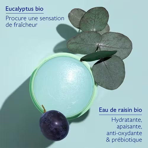 Vinofresh Déodorant Stick Naturel