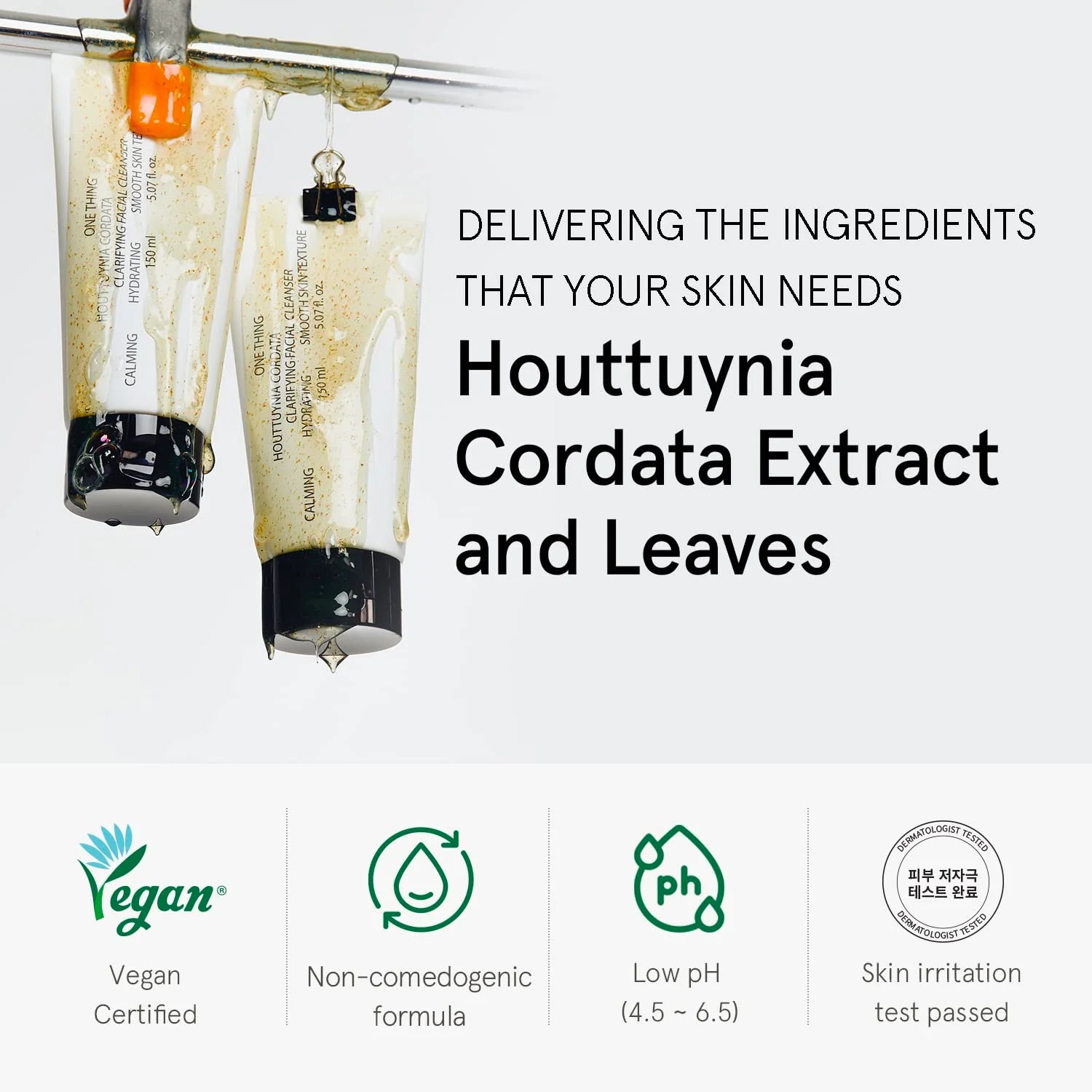Houttuynia Cordata Clarifying Facial Cleanser