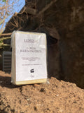 Savon Illuminateur